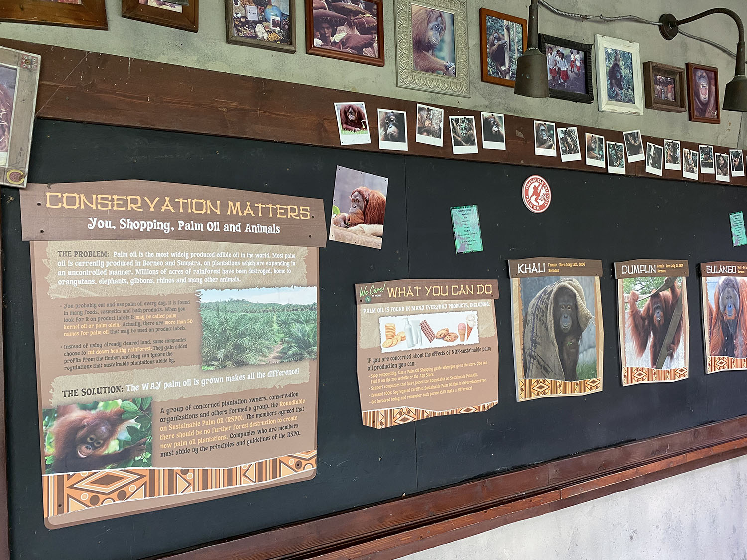 Photograph of an informational board at an exhibit at the Columbus Zoo