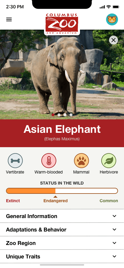 Mockup screenshot of Columbus Zoo mobile application displaying information about elephants.